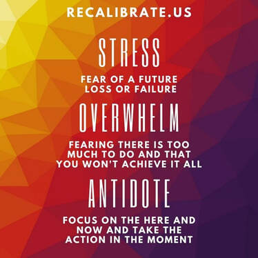 Stress Overwhelm Antidote, recalibrate.us.