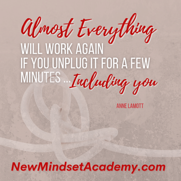 Almost everything will work again if you unplug it for a few minutes ... including you.” -#Anne Lamott, #EricMiller, #NewMindsetAcademy.com