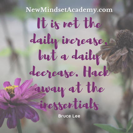 It is not the daily increase, but a daily decrease. Hack away at the inessentials. – Bruce Lee, #EricMiller, #NewMindsetAcademy