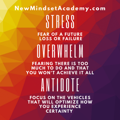 Stress, fear of a future loss or failure, Overwhelm, fearing there is to much to do and that won't achieve it all. Antidote, focus on the vehicles that will optimize ow you experience certainty. #newmindsetacademy, 