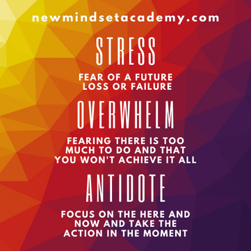 stress, fear of future loss or failure. Overwhelm, fearing there is too much to do and that you won't achieve it all. Antidote, focus on the here and now and take the action in the moment, #ericmiller, #newmindsetacademy
